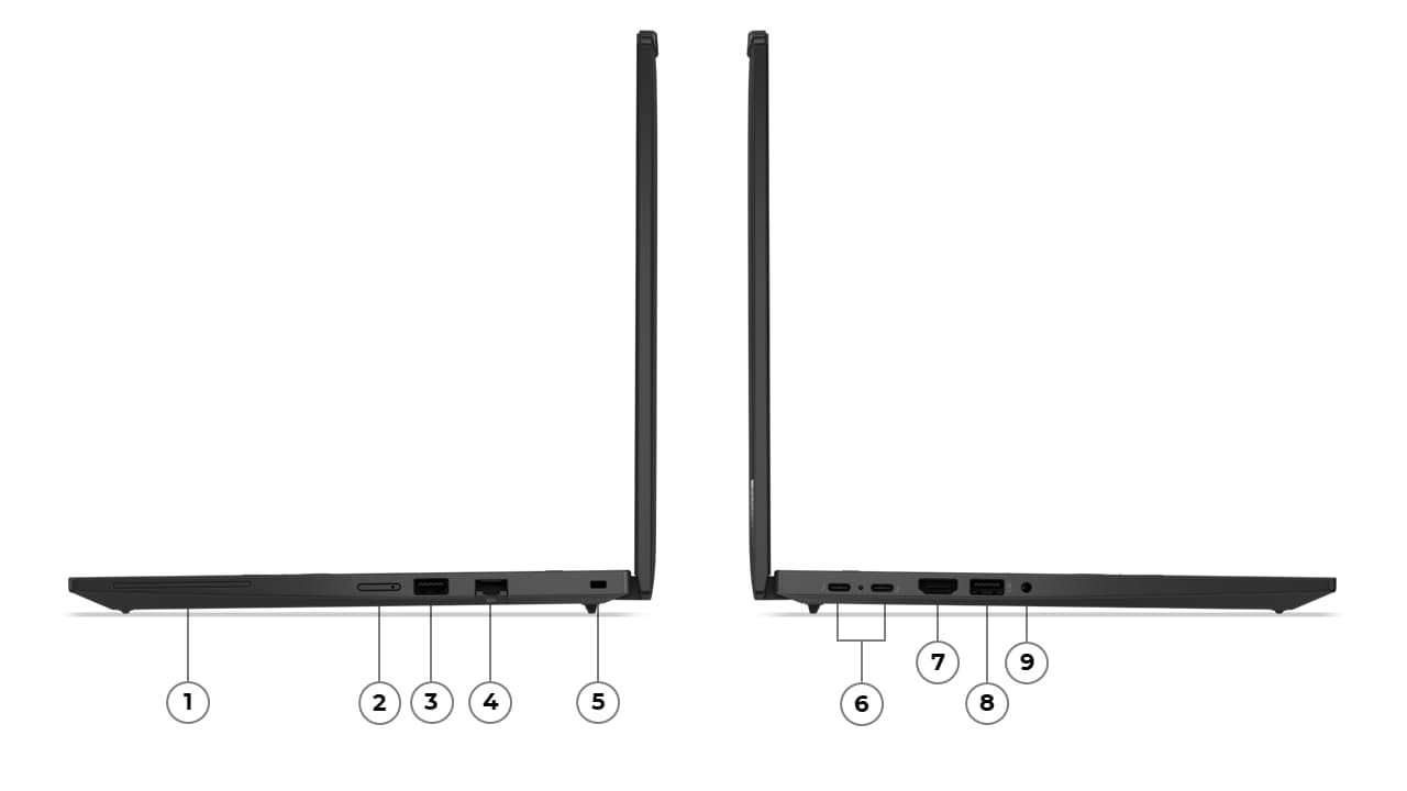 Beschreibung des Bildes